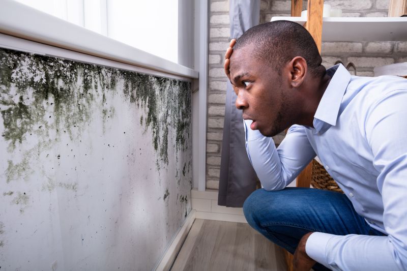 Identifying Mold Growth