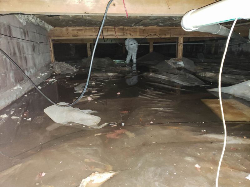 Crawl Space Inspection in Spring